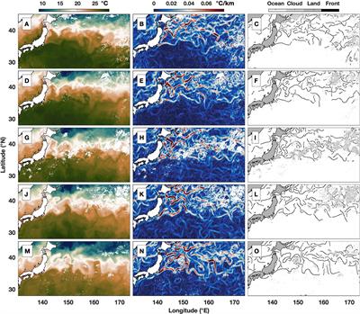 Variability and Intensity of the Sea Surface Temperature Front Associated With the Kuroshio Extension